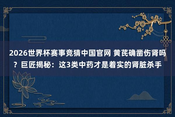 2026世界杯赛事竞猜中国官网 黄芪确凿伤肾吗？巨匠揭秘：这3类中药才是着实的肾脏杀手