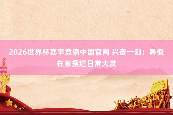 2026世界杯赛事竞猜中国官网 兴奋一刻：暑假在家摆烂日常大赏