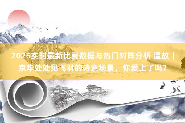 2026实时最新比赛数据与热门对阵分析 温故｜京华处处见飞羽的诗意场景，你爱上了吗？