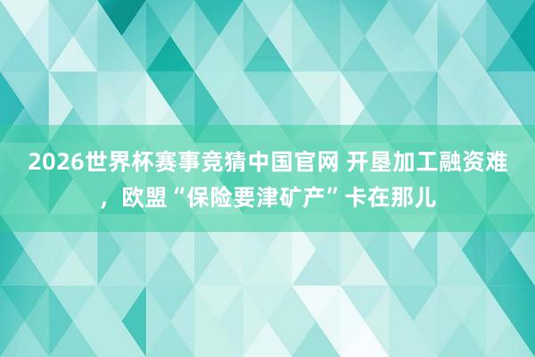 2026世界杯赛事竞猜中国官网 开垦加工融资难，欧盟“保险要津矿产”卡在那儿