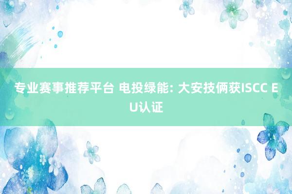 专业赛事推荐平台 电投绿能: 大安技俩获ISCC EU认证