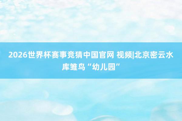 2026世界杯赛事竞猜中国官网 视频|北京密云水库雏鸟“幼儿园”