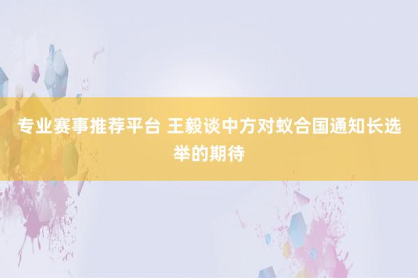 专业赛事推荐平台 王毅谈中方对蚁合国通知长选举的期待