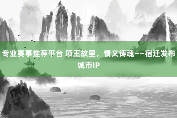 专业赛事推荐平台 项王故里，情义铸魂——宿迁发布城市IP