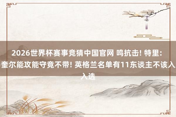 2026世界杯赛事竞猜中国官网 鸣抗击! 特里: 马奎尔能攻能守竟不带! 英格兰名单有11东谈主不该入选