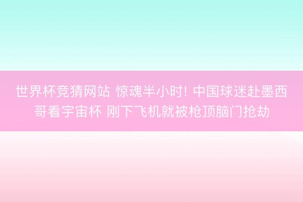 世界杯竞猜网站 惊魂半小时! 中国球迷赴墨西哥看宇宙杯 刚下飞机就被枪顶脑门抢劫