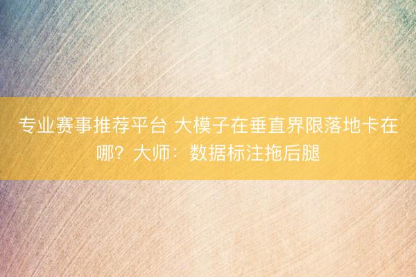 专业赛事推荐平台 大模子在垂直界限落地卡在哪？大师：数据标注拖后腿